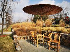 -上海山野camping·户外天幕烧烤·团建拓展营地