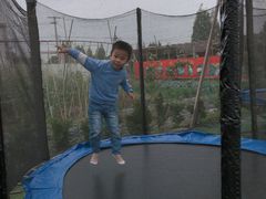 -小鱼草莓采摘园农家乐·小鱼餐厅