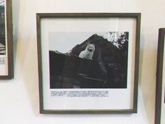 -三味书屋(复兴门内大街店)