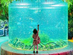 -海合安成都极地海洋公园