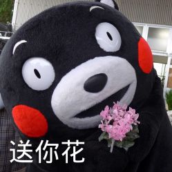 -山浦形象烫染