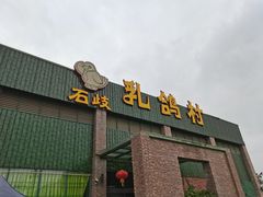 -石岐乳鸽村(南海第三分店)