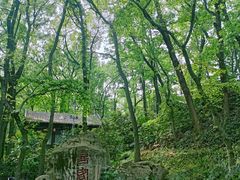 -句容茅山景区