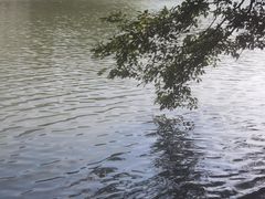 -范蠡湖公园