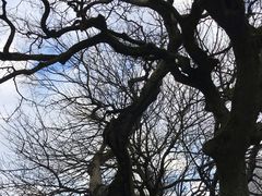 -珞珈山-售票处