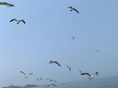 -海驴岛(荣成市)