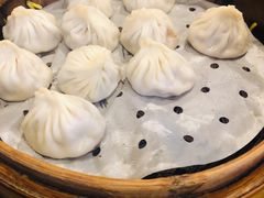 鲜肉小笼-大龙汤包