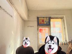 -老万饭馆