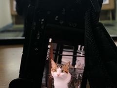 -蓝天射箭馆·专业射箭运动(诚丰广场店)