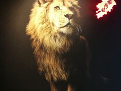 -老鼎旺安格斯牛肉火锅(衡艺广场店)