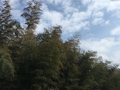 -南京市无想山景区