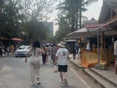 -西双版纳傣族园