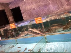 -饭怕鱼(阳光100店)