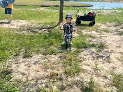 -春花秋色城市公园