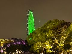 -君来湖滨饭店·渔餐厅