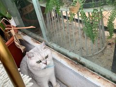 -小时光咖啡馆(北锣鼓巷店)