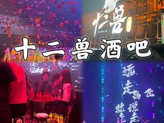 -十二兽酒吧(乌鲁木齐店)