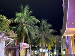 -后海村