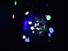 iphone_upload_pic-上海世茂广场(南京东路店)