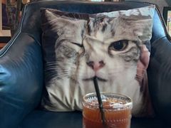 -咖法森林·咖啡  酒吧(天河店)