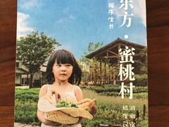 -田园东方蜜桃村的田野营地