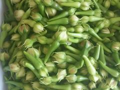 android_upload_pic-龚师傅土菜馆.地道农家菜(魅力湘西店)