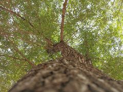 -长春公园(普阳街道)