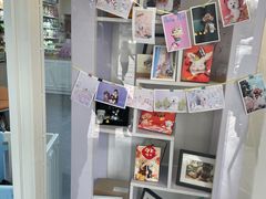 -读宠于你·约克夏比熊·睫角守宫·爬宠售卖(高新店)