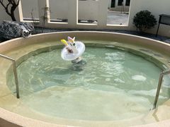-芭东小镇温泉