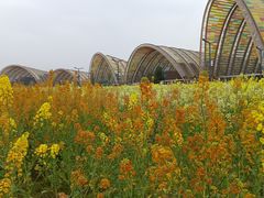 -中国天府农业博览园