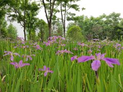 -上海山野camping·户外天幕烧烤·团建拓展营地