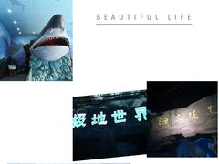 -多彩贵州城极地海洋世界