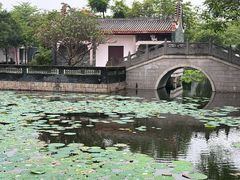 -厦门园林博览苑