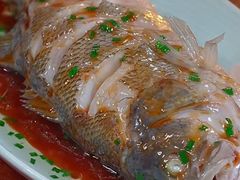 -宝轩渔府·老字号海鲜·正宗津菜(水上店)