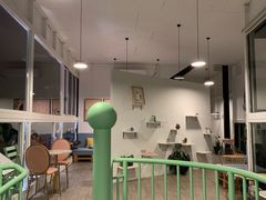 -有猫主题·治愈系猫咖(曾厝垵店)