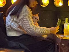 -啤客走廊