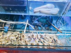 茅台炭烤响螺-金龙·打边炉(武进路店)