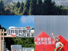 -玉苍山国家森林公园