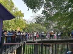 -石家庄市动物园