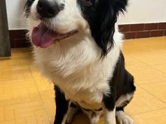 -宝芝林凉茶甜品屋(合兴路分店)