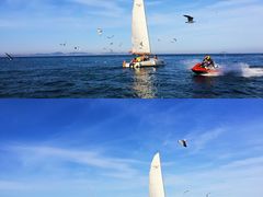 -东港音乐喷泉广场