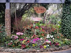 景点-广州珠江公园