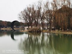 -昆山城市生态森林公园