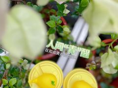 -挞柠·手打柠檬茶(花城汇中区旗舰店)