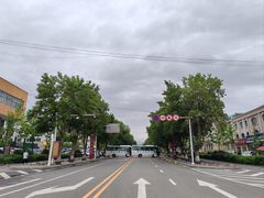 -特克斯八卦城