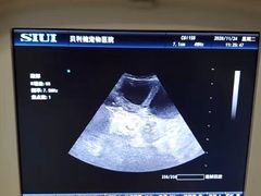 -宠颐生贝利健动物医院(谢家湾分院)