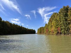 -上海海湾国家森林公园