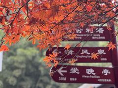 -岳麓山风景名胜区