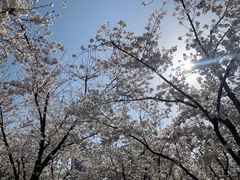 -龙美术馆(西岸馆)