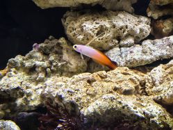 -Zoolung Zoolung动物主题公园(海信广场店)